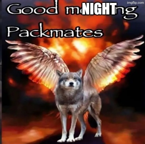 Good morning Packmates | NIGHT | image tagged in good morning packmates | made w/ Imgflip meme maker