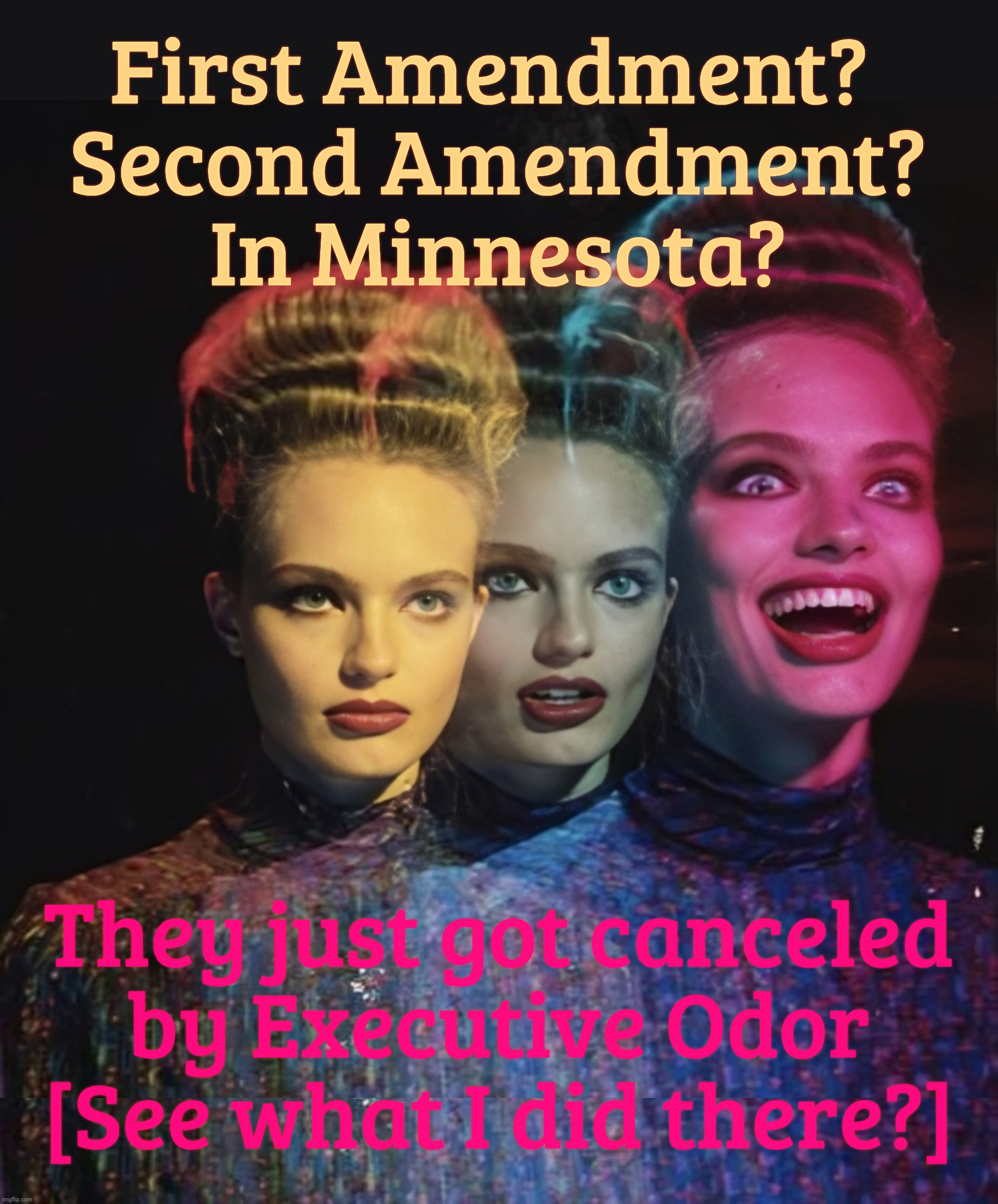 First & Second Amendment suddenly don't count in MAGA world | First Amendment? 
Second Amendment?
In Minnesota? They just got canceled
by Executive Odor
[See what I did there?] | image tagged in hardy har har ii,minneapolis ice shootings,alex pretti,nicole good,ice gestapo,maga hypocrisy | made w/ Imgflip meme maker