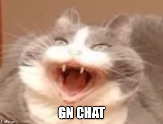 cat | GN CHAT | image tagged in cat | made w/ Imgflip meme maker