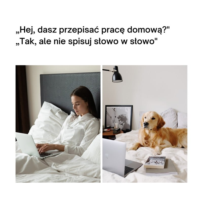 Praca domowa Blank Meme Template