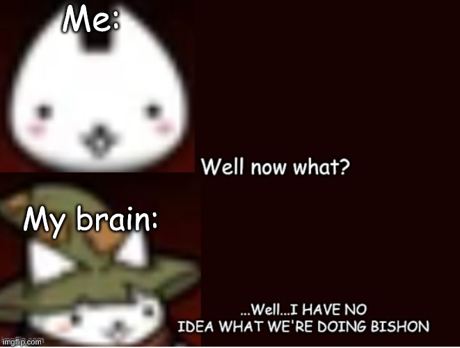 :P | Me:; My brain: | image tagged in i have no idea what we're doing bishon | made w/ Imgflip meme maker