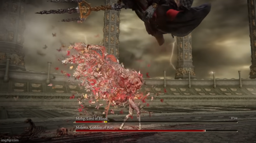 High Quality Malenia seeing impending doom from above Blank Meme Template