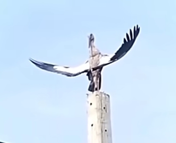 God of the skies Blank Meme Template