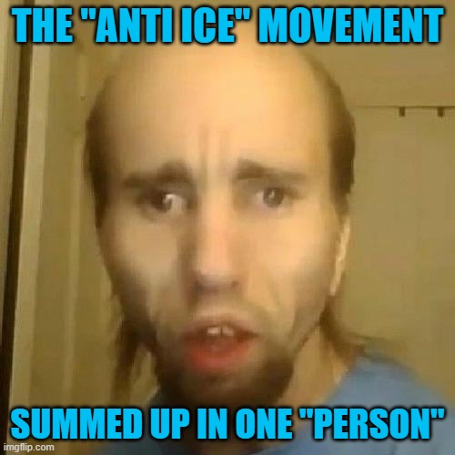 This is the type of thing that CNN can manipulate | THE "ANTI ICE" MOVEMENT; SUMMED UP IN ONE "PERSON" | image tagged in cyraxx,cnn,minnesota,ice | made w/ Imgflip meme maker