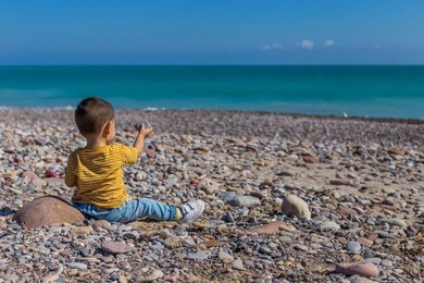 sandro Blank Meme Template