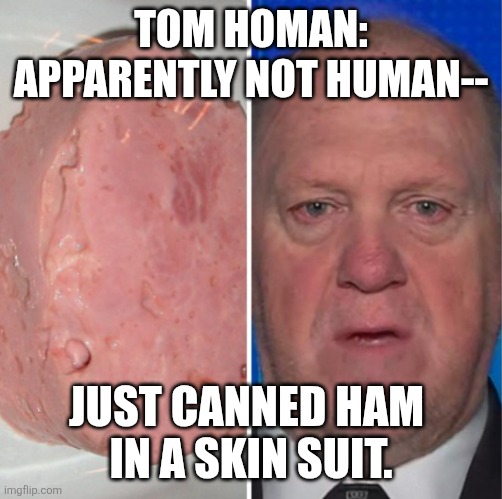 Not human. At all. | TOM HOMAN: APPARENTLY NOT HUMAN--; JUST CANNED HAM 
IN A SKIN SUIT. | made w/ Imgflip meme maker