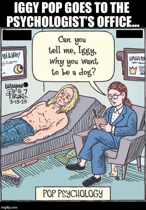 The Stooges classic… | image tagged in alternative rock,iggy pop,i wanna be your dog,classic rock,psychologists office,therapy | made w/ Imgflip meme maker