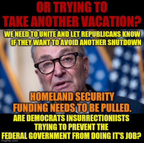 Are Democrats Insurrectioniists Trying To Prevent The Federal Government From Doing It's Job | OR TRYING TO TAKE ANOTHER VACATION? WE NEED TO UNITE AND LET REPUBLICANS KNOW        IF THEY WANT TO AVOID ANOTHER SHUTDOWN; HOMELAND SECURITY FUNDING NEEDS TO BE PULLED. ARE DEMOCRATS INSURRECTIONIISTS TRYING TO PREVENT THE FEDERAL GOVERNMENT FROM DOING IT'S JOB? | image tagged in memes,politics,democrats,i don't want to play with you anymore,now reality can be whatever i want,government shutdown | made w/ Imgflip meme maker