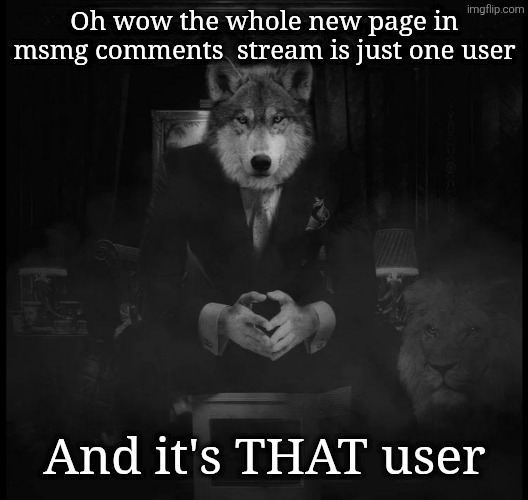 Wolf on a chair | Oh wow the whole new page in msmg comments  stream is just one user; And it's THAT user | image tagged in wolf on a chair | made w/ Imgflip meme maker