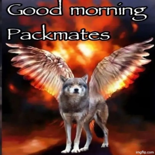 Good morning Packmates | image tagged in good morning packmates | made w/ Imgflip meme maker