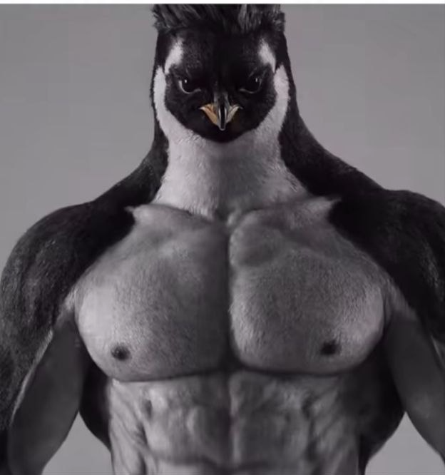 Penguin Chad Blank Meme Template