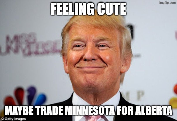 FEELING CUTE MAYBE TRADE MINNESOTA FOR ALBERTA | image tagged in donald trump approves | made w/ Imgflip meme maker