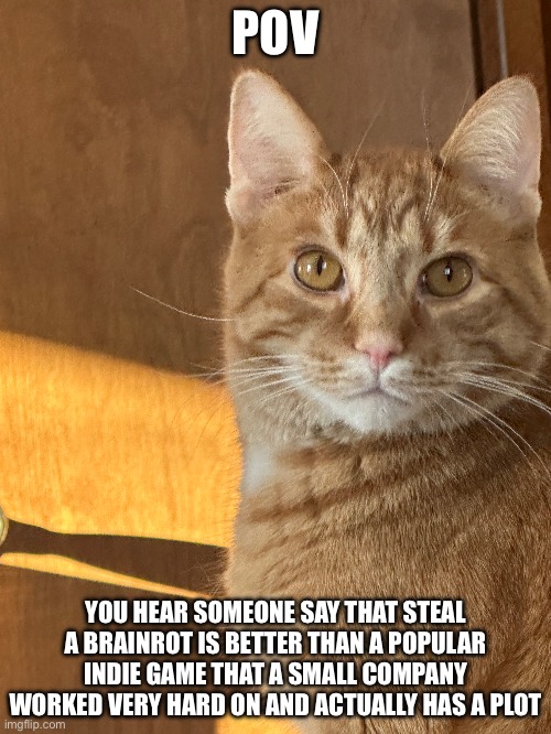 Hollow Knight, anyone? | POV; YOU HEAR SOMEONE SAY THAT STEAL A BRAINROT IS BETTER THAN A POPULAR INDIE GAME THAT A SMALL COMPANY WORKED VERY HARD ON AND ACTUALLY HAS A PLOT | image tagged in cat,hollow knight,italian brainrot | made w/ Imgflip meme maker