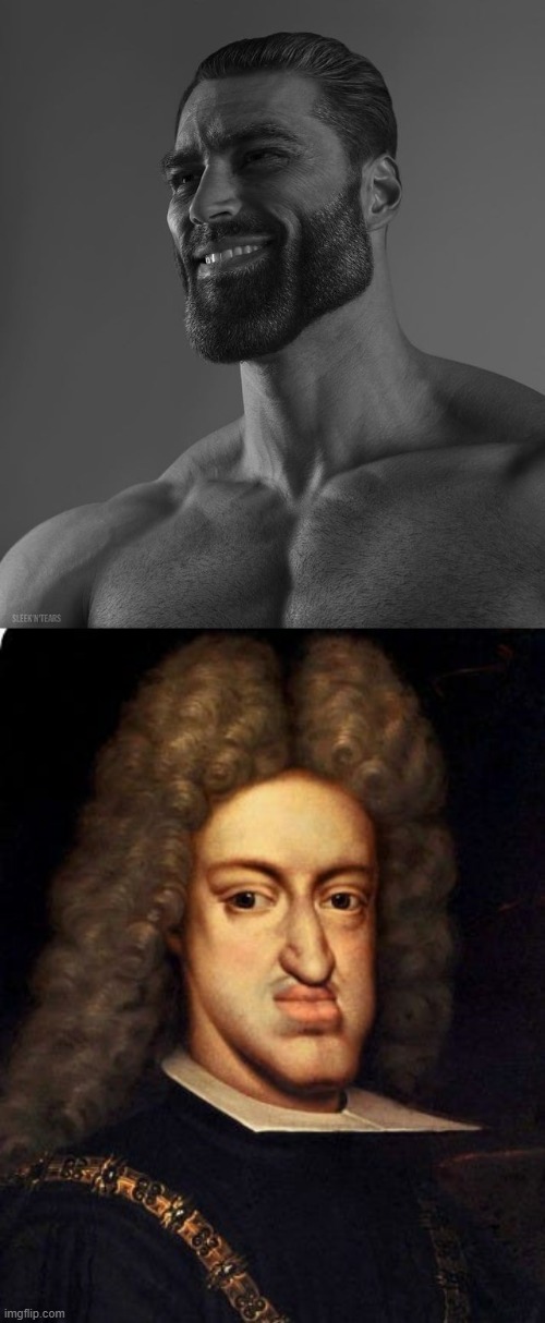 image tagged in giga chad | made w/ Imgflip meme maker