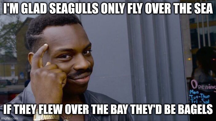 Roll Safe Think About It | I'M GLAD SEAGULLS ONLY FLY OVER THE SEA; IF THEY FLEW OVER THE BAY THEY'D BE BAGELS | image tagged in memes,roll safe think about it | made w/ Imgflip meme maker