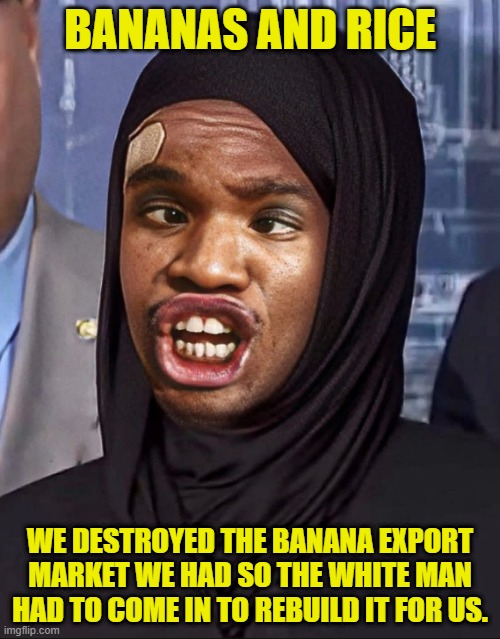 When you need to brag about Somali achievements | BANANAS AND RICE; WE DESTROYED THE BANANA EXPORT MARKET WE HAD SO THE WHITE MAN HAD TO COME IN TO REBUILD IT FOR US. | image tagged in somalia,banana,rice,protest,immigration,america first | made w/ Imgflip meme maker
