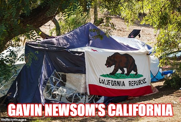 Newsom 4 Prez | GAVIN NEWSOM'S CALIFORNIA | image tagged in california,gavin newsom,deemocrats | made w/ Imgflip meme maker