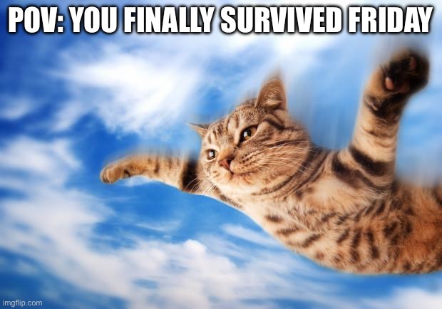 Enjoy your weekends before it’s Monday again | POV: YOU FINALLY SURVIVED FRIDAY | image tagged in flying-cat,friday | made w/ Imgflip meme maker