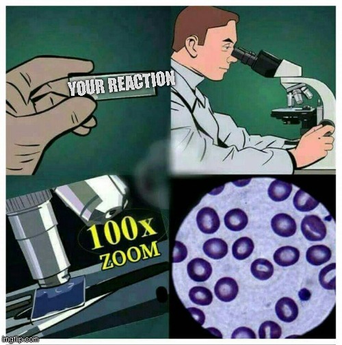 YOUR REACTION | image tagged in microscope 100x zoom | made w/ Imgflip meme maker