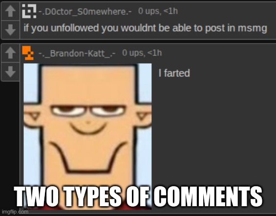 TWO TYPES OF COMMENTS | made w/ Imgflip meme maker
