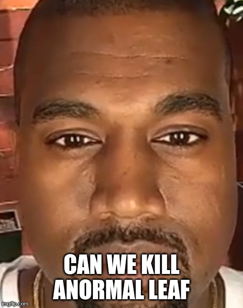 Kanye West Stare | CAN WE KILL ANORMAL LEAF | image tagged in kanye west stare | made w/ Imgflip meme maker
