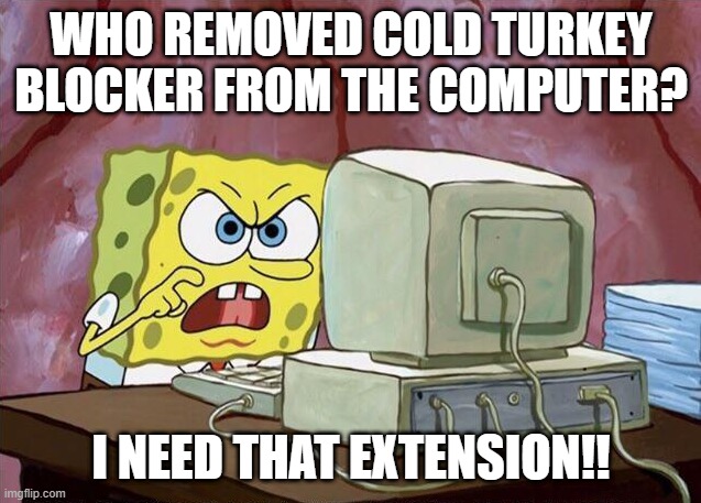 cold turkey blocker | WHO REMOVED COLD TURKEY BLOCKER FROM THE COMPUTER? I NEED THAT EXTENSION!! | image tagged in come on baby whats the name | made w/ Imgflip meme maker