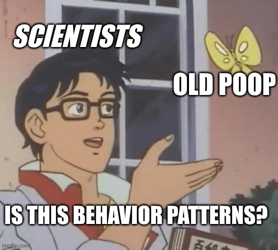 hey y'all use this for quick fossil joke on trace fossils | SCIENTISTS; OLD POOP; IS THIS BEHAVIOR PATTERNS? | image tagged in memes,is this a pigeon | made w/ Imgflip meme maker