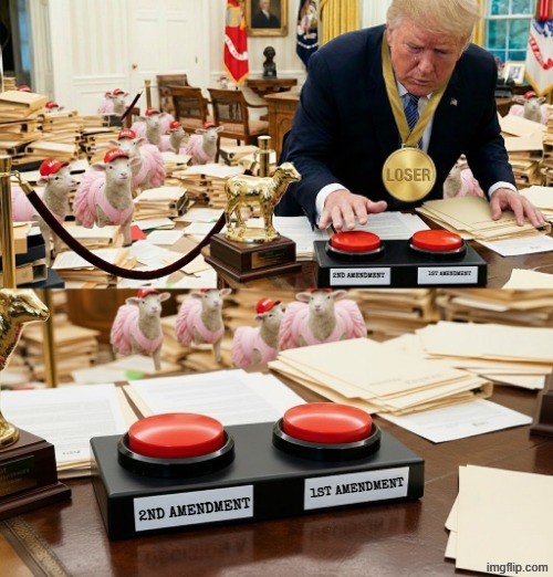 TWO BUTTONS | 2ND AMENDMENT; 1ST AMENDMENT; 1ST AMENDMENT; 2ND AMENDMENT | image tagged in two buttons,button,trump,maga,1st amendment,2nd amendment | made w/ Imgflip meme maker