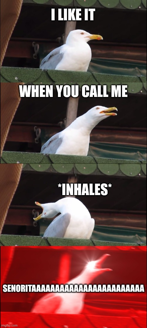 don't know | I LIKE IT; WHEN YOU CALL ME; *INHALES*; SENORITAAAAAAAAAAAAAAAAAAAAAAAA | image tagged in memes,inhaling seagull | made w/ Imgflip meme maker