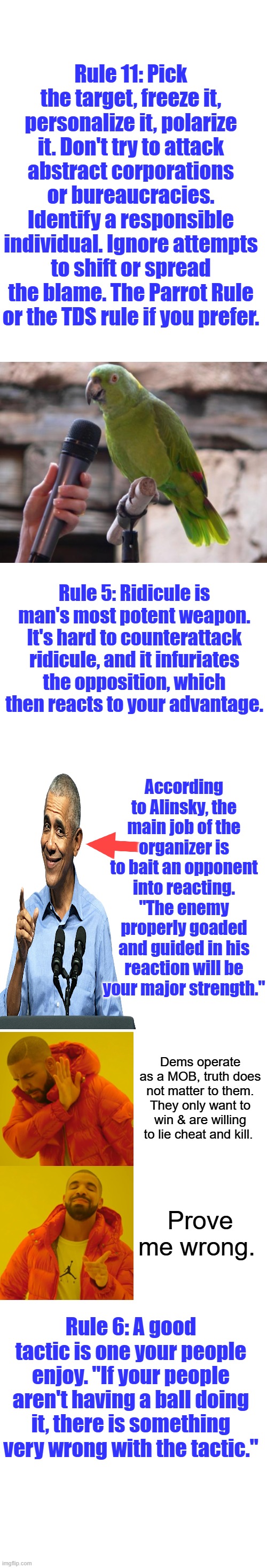 Or ICE commander in MINN | Rule 11: Pick the target, freeze it, personalize it, polarize it. Don't try to attack abstract corporations or bureaucracies. Identify a responsible individual. Ignore attempts to shift or spread the blame. The Parrot Rule or the TDS rule if you prefer. Rule 5: Ridicule is man's most potent weapon. It's hard to counterattack ridicule, and it infuriates the opposition, which then reacts to your advantage. According to Alinsky, the main job of the organizer is to bait an opponent into reacting. "The enemy properly goaded and guided in his reaction will be your major strength."; Dems operate as a MOB, truth does not matter to them. They only want to win & are willing to lie cheat and kill. Prove me wrong. Rule 6: A good tactic is one your people enjoy. "If your people aren't having a ball doing it, there is something very wrong with the tactic." | image tagged in parrot,memes,blank transparent square,drake hotline bling | made w/ Imgflip meme maker