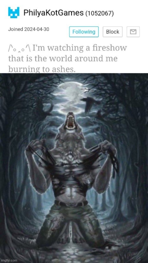 image tagged in alpha wolf | made w/ Imgflip meme maker