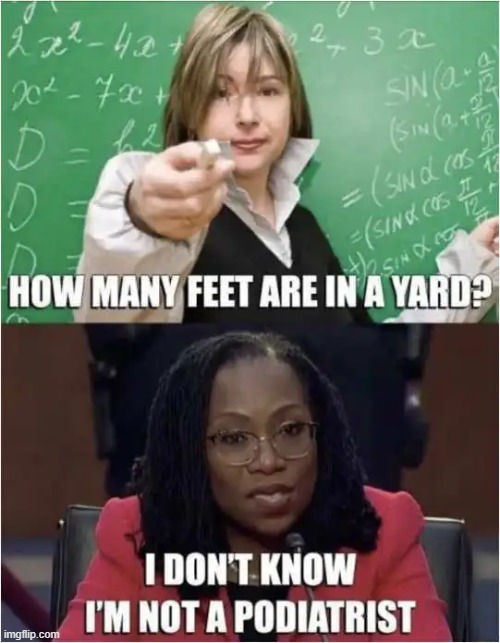 Imagine a Supreme Court Justice NOT Knowing What a Woman Is.... | image tagged in crazy,ideology,hard times,democrats,fools rush in | made w/ Imgflip meme maker