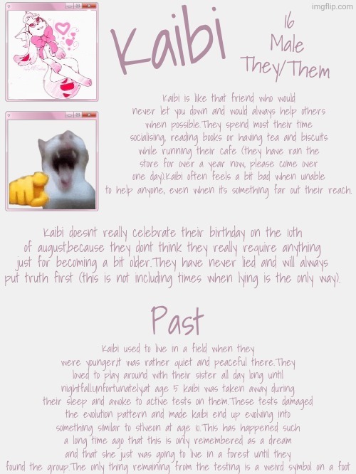 Kaibi lore!!!1!1!111 (i swear i delayed it 100 times) | Kaibi used to live in a field when they were younger,it was rather quiet and peaceful there.They loved to play around with their sister all day long until nightfall.Unfortunately,at age 5 kaibi was taken away during their sleep and awoke to active tests on them.These tests damaged the evolution pattern and made kaibi end up evolving into something similar to stlveon at age 10.This has happened such a long time ago that this is only remembered as a dream and that she just was going to live in a forest until they found the group.The only thing remaining from the testing is a weird symbol on a foot | made w/ Imgflip meme maker