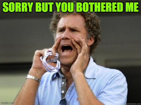 Yelling | SORRY BUT YOU BOTHERED ME | image tagged in yelling | made w/ Imgflip meme maker