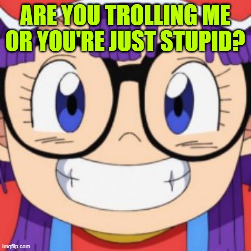 arale | ARE YOU TROLLING ME OR YOU'RE JUST STUPID? | image tagged in arale | made w/ Imgflip meme maker