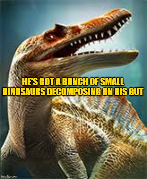 thinking spinosaurus | HE'S GOT A BUNCH OF SMALL DINOSAURS DECOMPOSING ON HIS GUT | image tagged in thinking spinosaurus | made w/ Imgflip meme maker