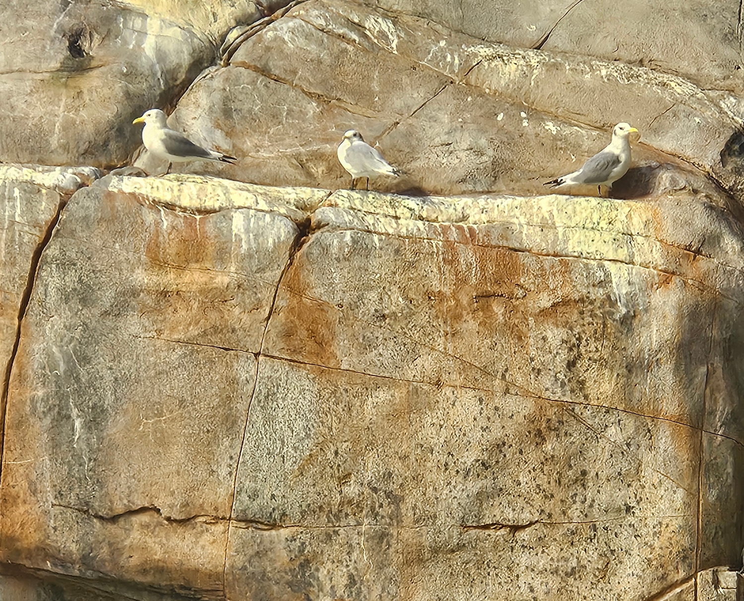 mine - ours Blank Meme Template