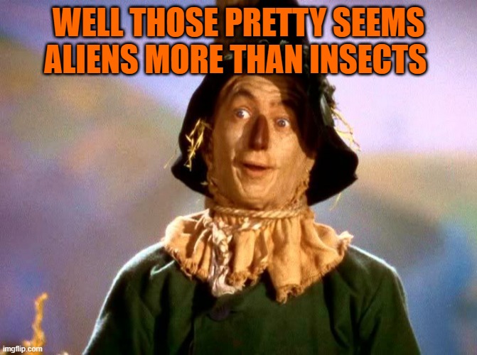 Wizard of Oz Scarecrow | WELL THOSE PRETTY SEEMS ALIENS MORE THAN INSECTS | image tagged in wizard of oz scarecrow | made w/ Imgflip meme maker