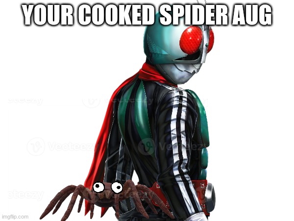 you are cooked | YOUR COOKED SPIDER AUG | image tagged in spider,kamen rider | made w/ Imgflip meme maker