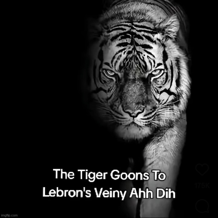 The tiger goons to LeBron's veiny ahh dih | image tagged in the tiger goons to lebron's veiny ahh dih | made w/ Imgflip meme maker