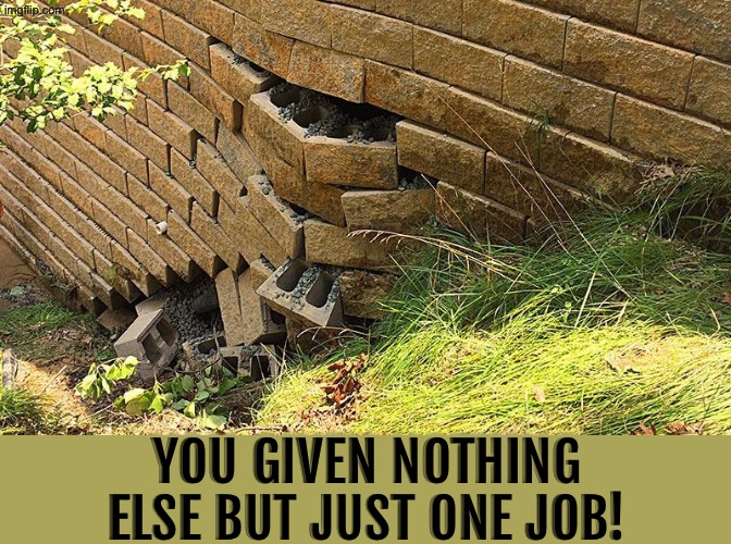 Well that didn't work | YOU GIVEN NOTHING ELSE BUT JUST ONE JOB! | image tagged in you had one job,task failed successfully,epic fail,do you are have stupid,duhhh dumbass,fail army | made w/ Imgflip meme maker