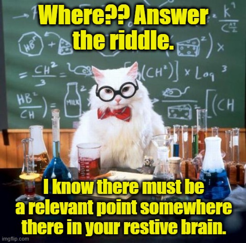 Chemistry Cat Meme | Where?? Answer the riddle. I know there must be a relevant point somewhere there in your restive brain. | image tagged in memes,chemistry cat | made w/ Imgflip meme maker