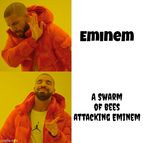 Drake Hotline Bling Meme | Eminem A Swarm of bees attacking Eminem | image tagged in memes,drake hotline bling | made w/ Imgflip meme maker