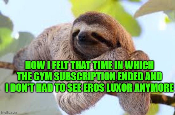 Potential Energy | HOW I FELT THAT TIME IN WHICH THE GYM SUBSCRIPTION ENDED AND I DON'T HAD TO SEE EROS LUXOR ANYMORE | image tagged in potential energy | made w/ Imgflip meme maker