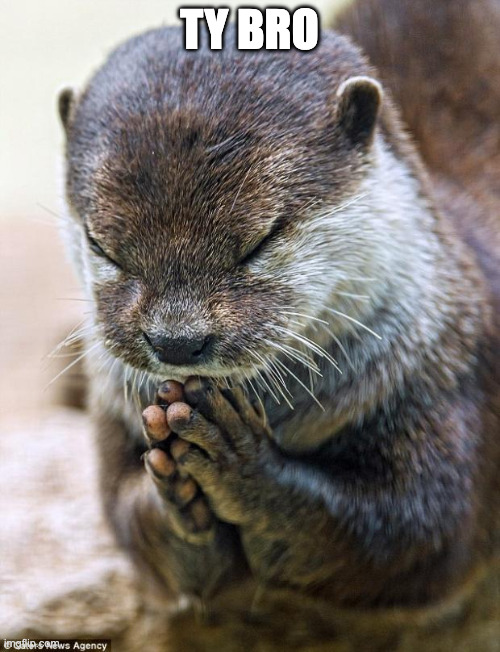 Thank you Lord Otter | TY BRO | image tagged in thank you lord otter | made w/ Imgflip meme maker