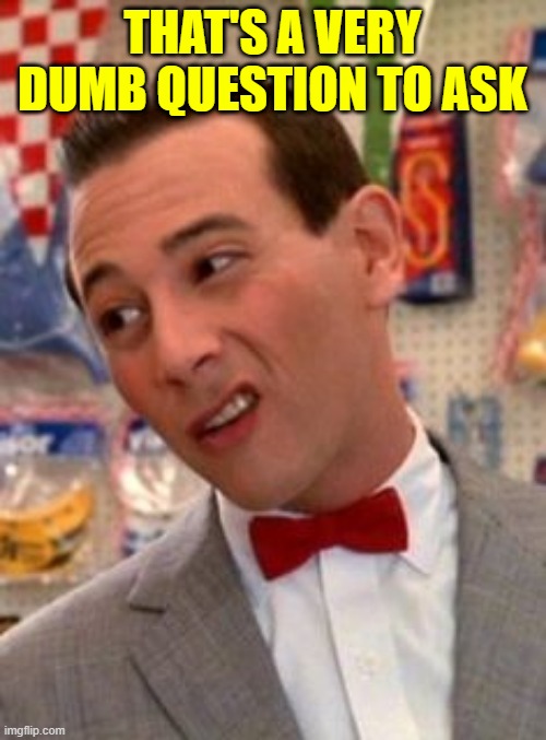 Pee-wee Herman | THAT'S A VERY DUMB QUESTION TO ASK | image tagged in pee-wee herman | made w/ Imgflip meme maker