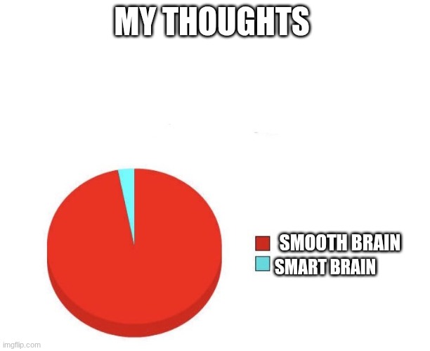 Pie graph meme | MY THOUGHTS; SMOOTH BRAIN; SMART BRAIN | image tagged in pie graph meme | made w/ Imgflip meme maker