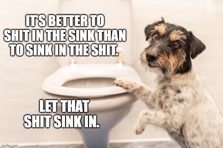 Sink In | IT’S BETTER TO SHIT IN THE SINK THAN TO SINK IN THE SHIT. LET THAT SHIT SINK IN. | image tagged in sink in | made w/ Imgflip meme maker