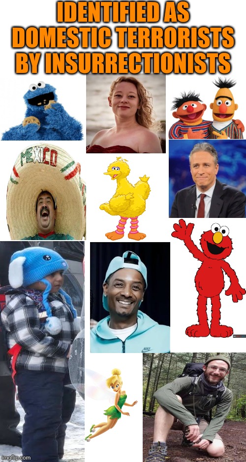 Maga Is The Abbreviation For Mental Illness | IDENTIFIED AS DOMESTIC TERRORISTS BY INSURRECTIONISTS | image tagged in memes,maga,mental illness,special kind of stupid,alternate reality,maga terrorists | made w/ Imgflip meme maker