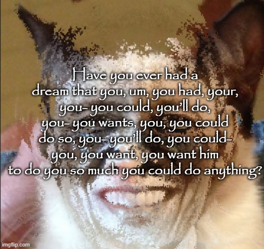 Cat obama | Have you ever had a dream that you, um, you had, your, you- you could, you’ll do, you- you wants, you, you could do so, you- you’ll do, you could- you, you want, you want him to do you so much you could do anything? | image tagged in cat obama | made w/ Imgflip meme maker